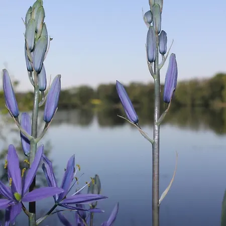 Ferienhaus Direkt Am