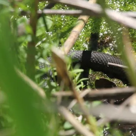 Ferienhaus Direkt Am *
