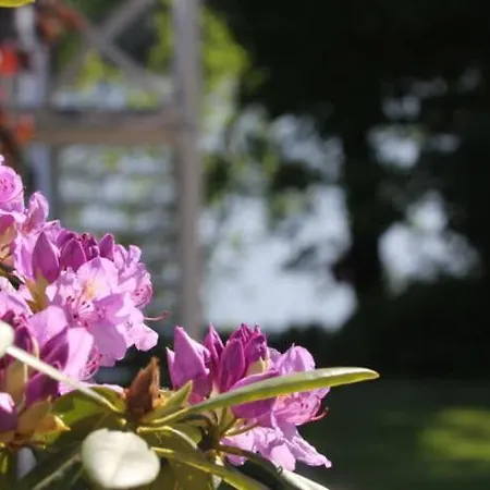 Direkt Am Ferienhaus
