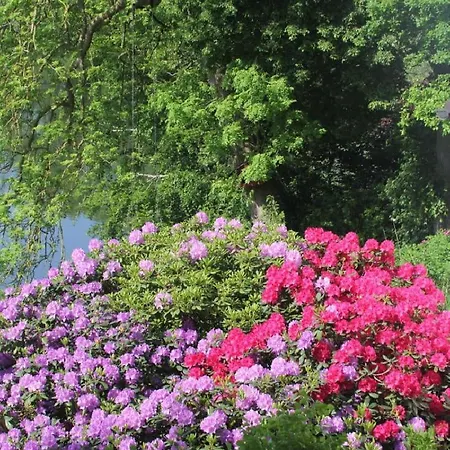 Ferienhaus Direkt Am *