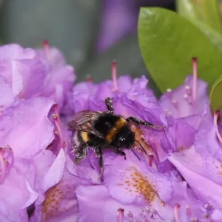 Direkt Am Ferienhaus Schmalensee