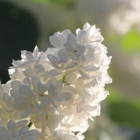 Direkt Am * Schmalensee