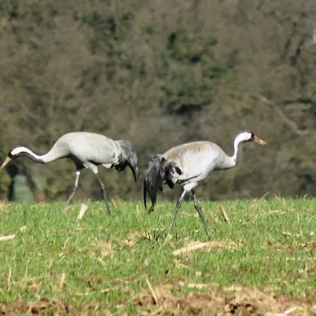 Ferienhaus Direkt Am *