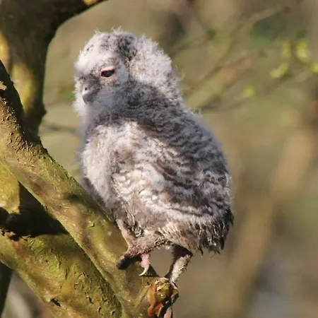 Direkt Am Ferienhaus *