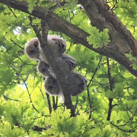 Ferienhaus Direkt Am