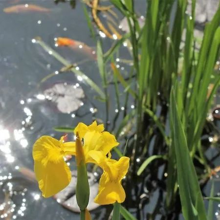 Direkt Am 펜션 Schmalensee