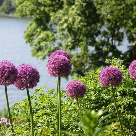 펜션 Direkt Am Schmalensee