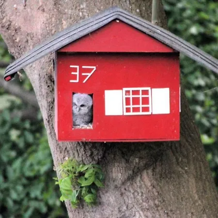펜션 Direkt Am