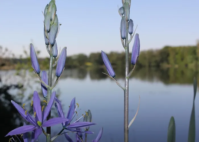 Casa vacanze Direkt Am