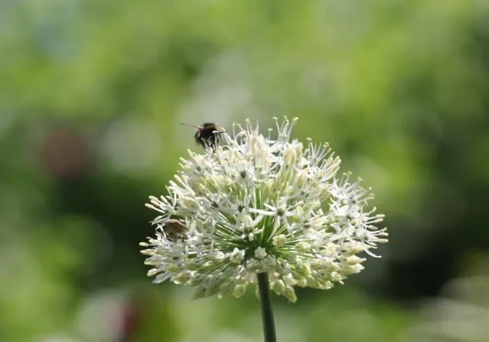 Direkt Am Casa vacanze *