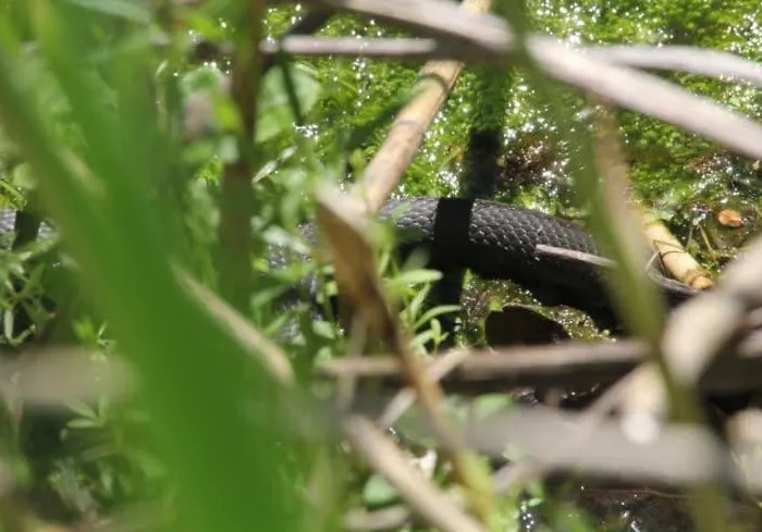 Casa vacanze Direkt Am *