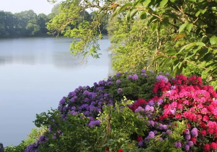 Direkt Am Schmalensee