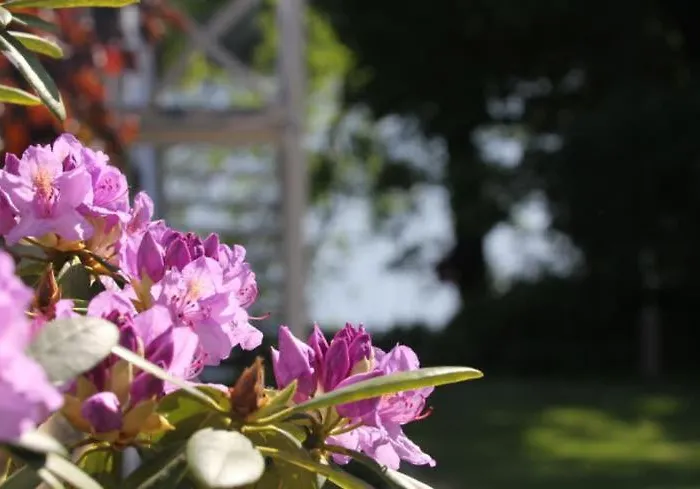 Direkt Am Casa vacanze