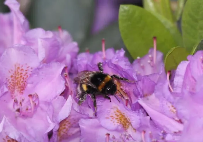 Direkt Am Casa vacanze Schmalensee