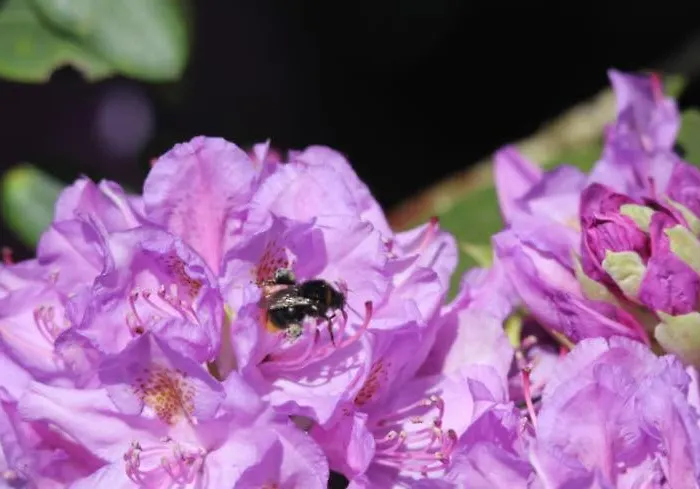 Casa vacanze Direkt Am Schmalensee