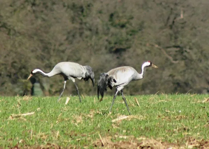 Casa vacanze Direkt Am *