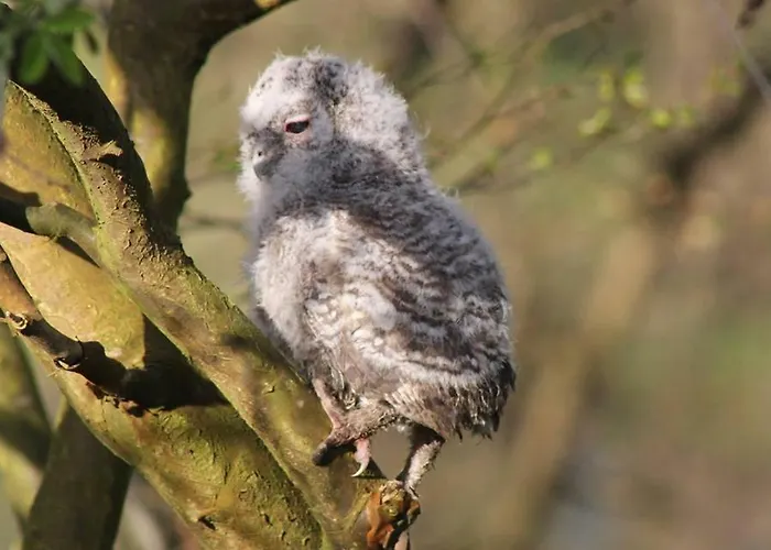 Direkt Am Casa vacanze *