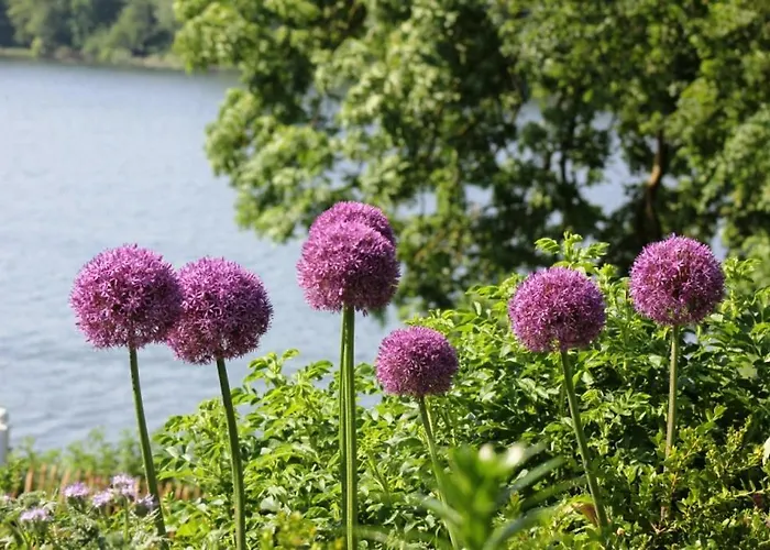 Casa vacanze Direkt Am Schmalensee