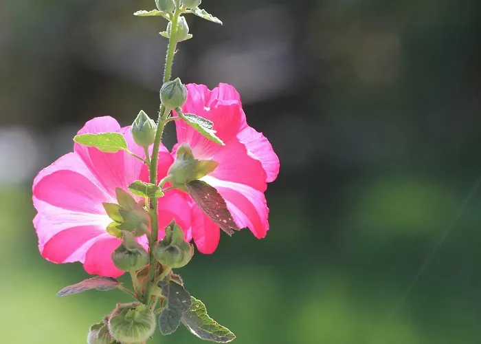 Direkt Am Casa vacanze Schmalensee